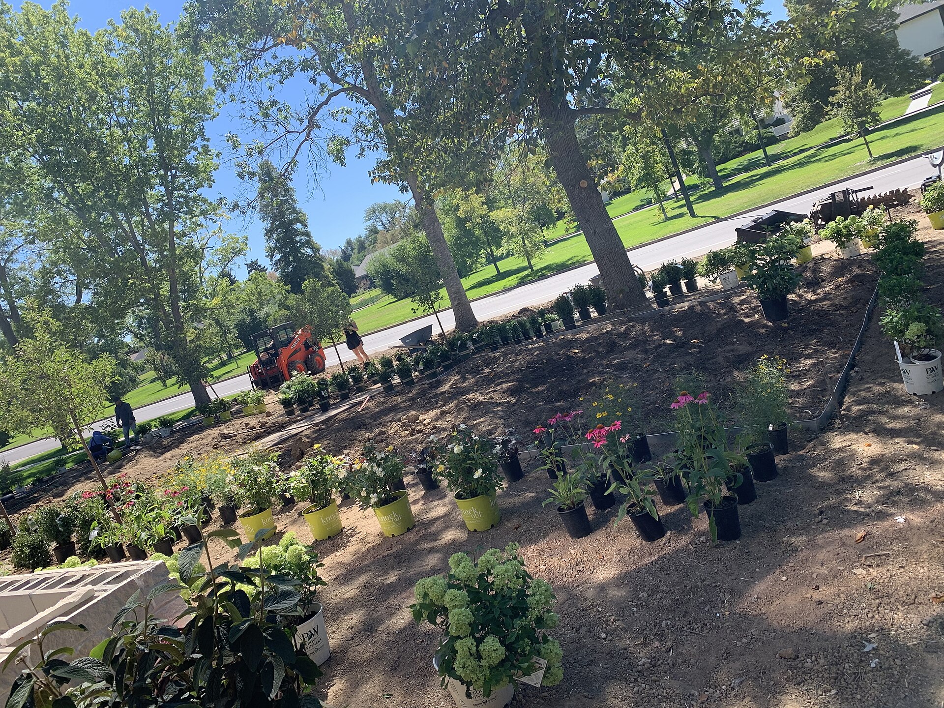 Landscaped garden beds full of green plants, flowers, and small trees beside a mown lawn.