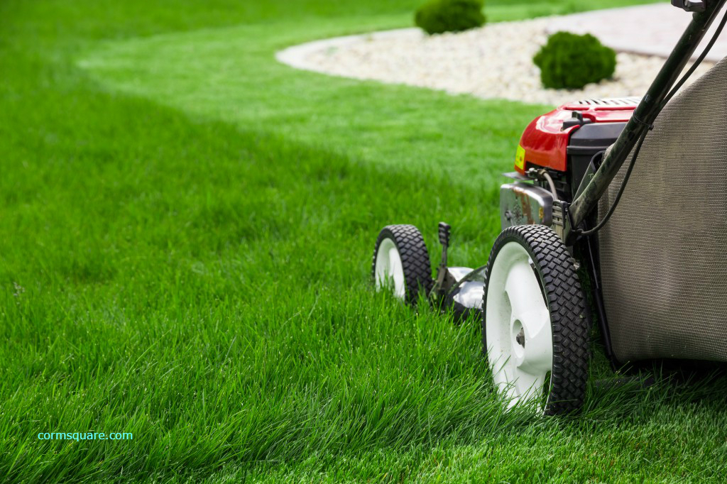 Mowing a green lawn with a push mower on a bright day.